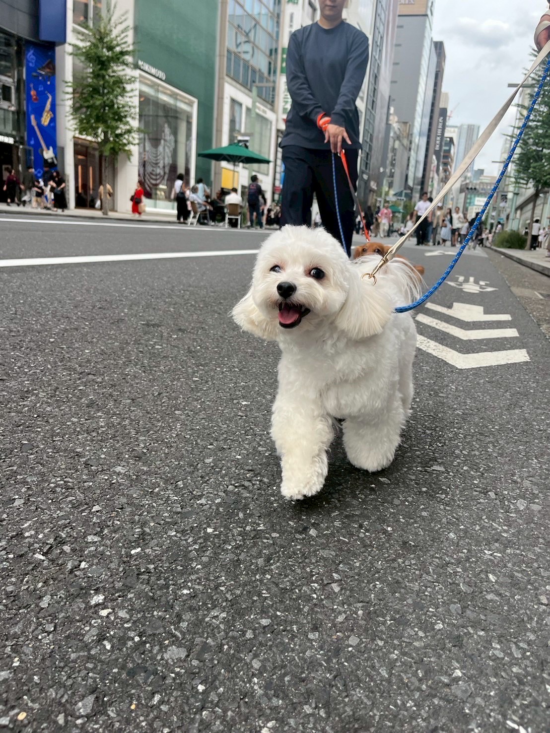 STEP 1: 10:00 登園・健康チェック