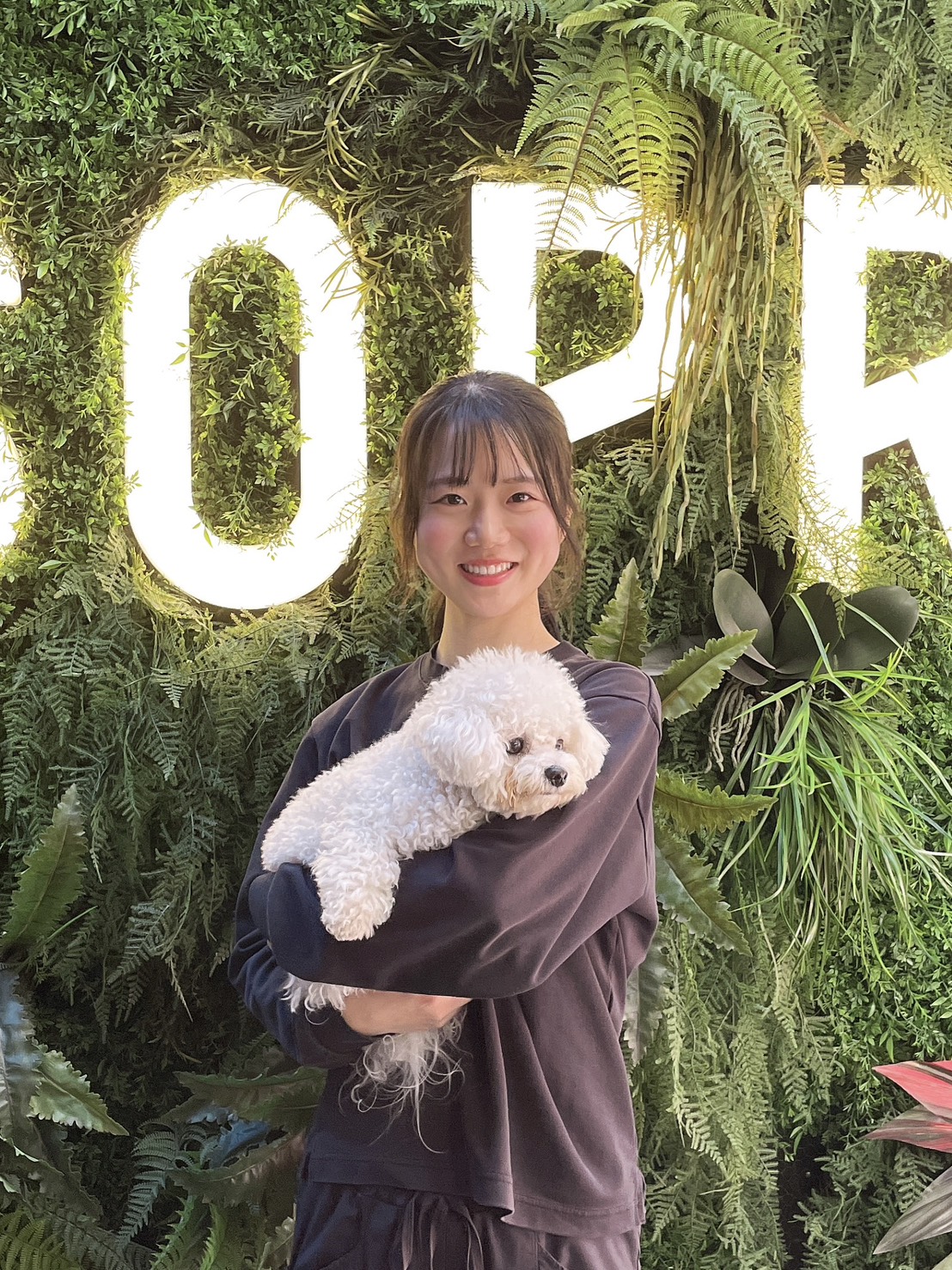 犬の幼稚園ソプラ