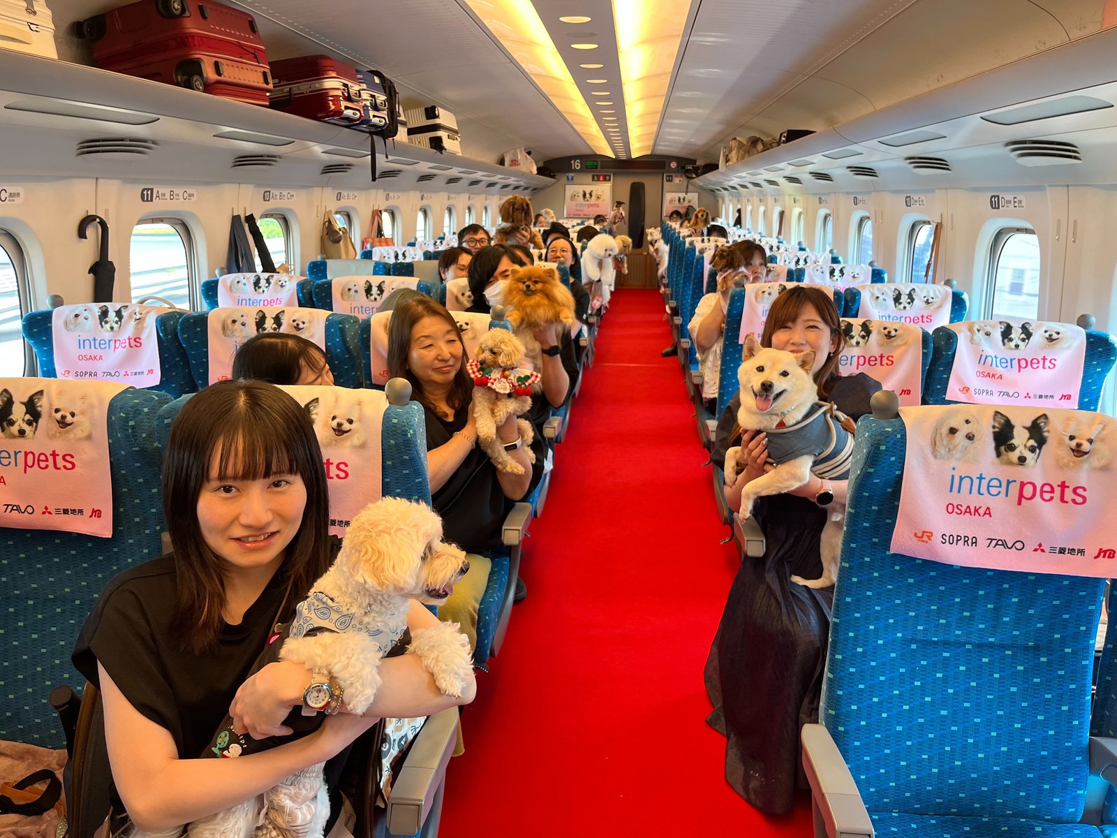 わんわんエクスプレス 車内全景 ワンちゃんと飼い主さま