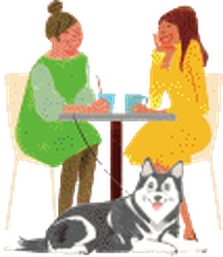 カフェのハスキー犬