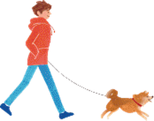 赤ジャケットの柴犬
